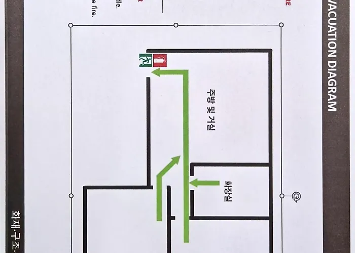 보리수 Under The Bo Tree